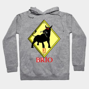 El Brío Hoodie